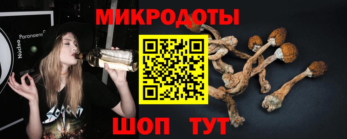 Ногинск  Псилоцибиновые грибы GOLDEN TEACHER  Псилоцибиновые грибы мухоморы  Вход с VPN 