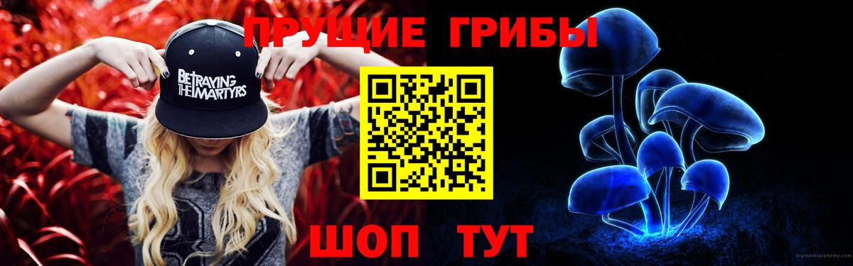 Псилоцибиновые грибы Psilocybe Ногинск